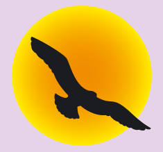 Snowbird-Home